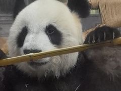 -海南热带野生动植物园