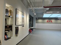 -EFL巴西柔术·综合格斗·泰拳·少儿体能训练(虹桥德必馆)