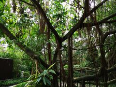 -台山颐和温泉城