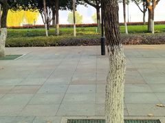 -武汉知音号