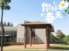 -石家庄市动物园