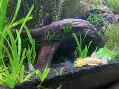 -上海海洋水族馆