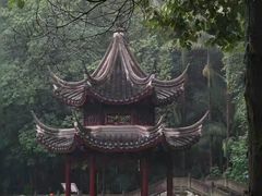 -金砂公园