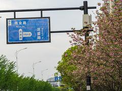 -钱塘江大桥