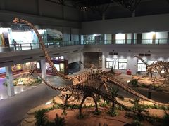 -自贡恐龙博物馆