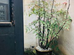 -沈万三蹄髈专卖店