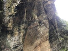 -牛背梁国家森林公园