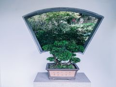 -十八棵（老龙井）御茶园(老龙井店)