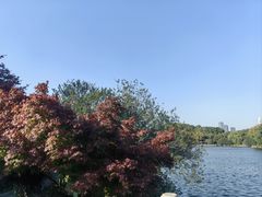-BlueBubble蓝泡泡婴幼儿游泳会所(合川路店)