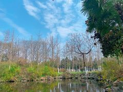 -沙市市中山公园