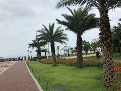 -野狸岛