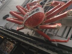 -蟹道乐(道顿堀本店)