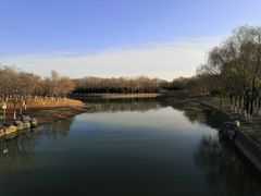 -大兴滨河森林公园