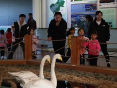 -延庆地质公园博物馆