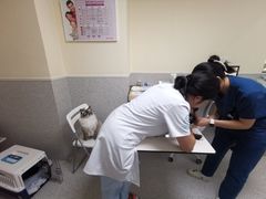 -谐和贝康宠物医院24小时·宠保定点(急重症转诊中心)