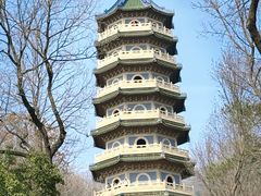 -灵谷景区