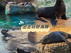 -珠海长隆海洋王国