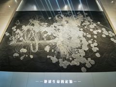 -贵州省地质博物馆