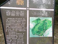 -白水寺森林公园