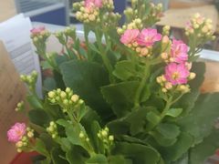 -品腐记·豆腐王朝(老门东总店)