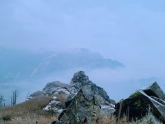 -秦岭风景区