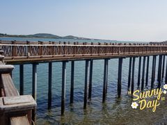-西海岸生态观光园