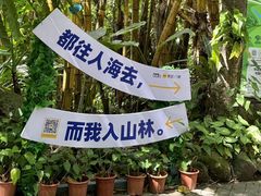 -呀诺达热带雨林
