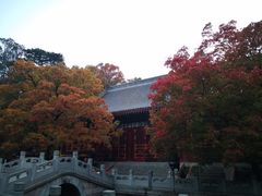 -香山公园