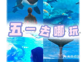 现在还不安全？憋太久不知道去哪儿玩