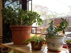 -伊隆斋(什刹海店)