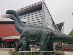 -河南自然博物馆
