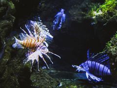 -南昌海洋公园