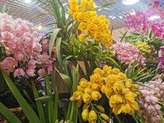 -双季花艺园艺市场(浦东店)