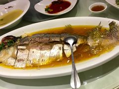 清蒸鲥鱼-圆苑(上海广场店)
