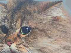 -方浜中路45弄小区