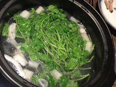 -同仁四季椰子鸡(海岸城天利店)