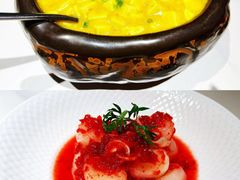 -羲和雅苑•北京烤鸭(国贸商城店)