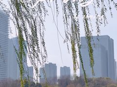-尚贤河湿地