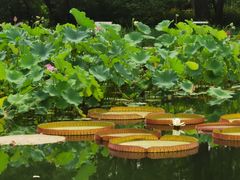 -国家植物园南园