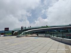 -王莽岭风景区