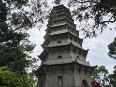 -深圳国际园林花卉博览园