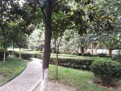 -西京医院