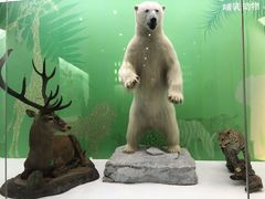 -国家自然博物馆