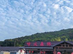 -呼吸森林·生态农庄农家乐私房菜