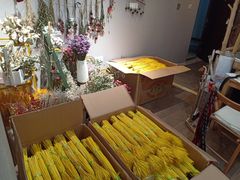 -红星美凯龙(东北全球家居1号店)