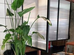 -VESH COFFEE(定西路店)