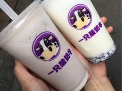 -一只酸奶牛(东方广场店)