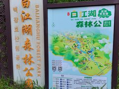 -广州白江湖森林公园