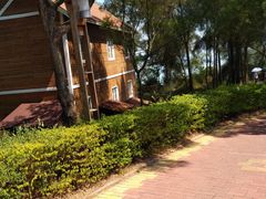 -漳州滨海火山岛自然生态风景区