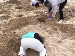 -普陀山风景名胜区-千步大沙